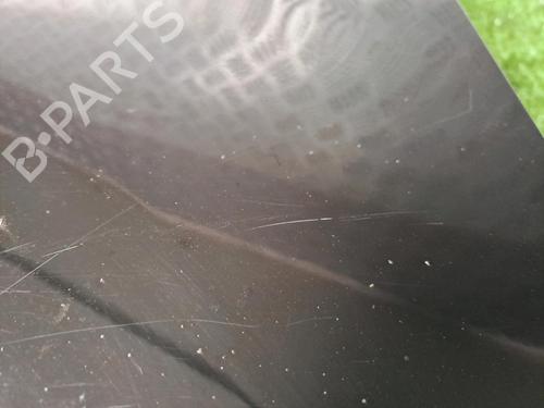 Left front fenders CITROËN C4 Picasso I MPV (UD_) 1.6 HDi 110 | BP20229745C41 