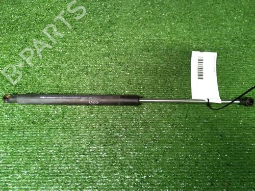 Used Tailgate lift support Tailgate lift support RENAULT CLIO III (BR0/1, CR0/1) 1.5 dCi (C/BR0G, C/BR1G) (68 hp) 29951689 29951689