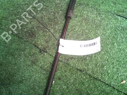 tailgate-lift-support-renault-kangoo-kc01_-1997-30073645 main image