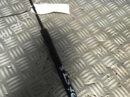 Tailgate lift support CITROËN C3 III (SX) 1.6 BlueHDi 75 | BP29951280C138