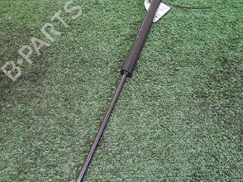 Heckklappendämpfer für DACIA SANDERO II TCe 90 (B8M1, B8MA, B8AC) (90 hp) 30065523