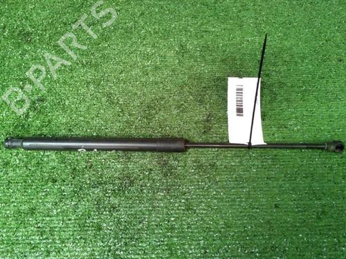 tailgate-lift-support-citroen-c3-ii-sc_-2009-30073595 main image