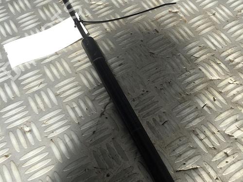 Used Tailgate lift support RENAULT CLIO III Grandtour (KR0/1_) 1.5 dCi (75 hp) 29951279
