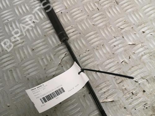 Tailgate lift support PEUGEOT 307 (3A/C) 1.6 HDi 110 | BP17162600C138 