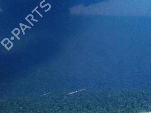 Left front door RENAULT GRAND SCÉNIC II (JM0/1_) 2.0 dCi (JM1K) | BP30071779C2 