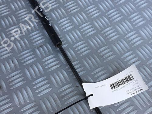 Tailgate lift support FIAT PUNTO EVO (199_) 1.3 D Multijet (199AXC1A, 199BXC1A, 199AXT1A, 199BXT1A) | BP30072656C138