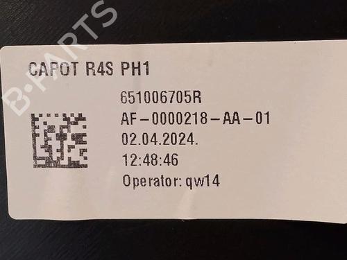 Used Hood Hood RENAULT TWINGO III (BCM_, BCA_) 1.0 SCe 70 (71 hp) 30064284 30064284