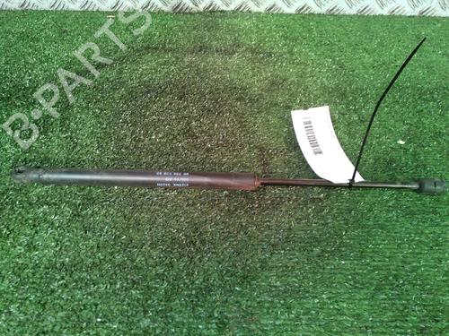 Used Tailgate lift support CITROËN C3 I (FC_, FN_) 1.4 HDi (68 hp) 17160533