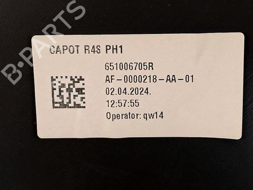 Capot RENAULT TWINGO III (BCM_, BCA_) 0.9 TCe 90 (BCM9, BCM2) (90 hp) 30065539