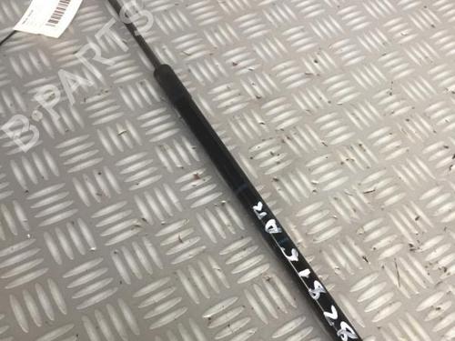 Used Tailgate lift support Tailgate lift support RENAULT MEGANE III Coupe (DZ0/1_) 1.5 dCi (95 hp) 30069107 30069107