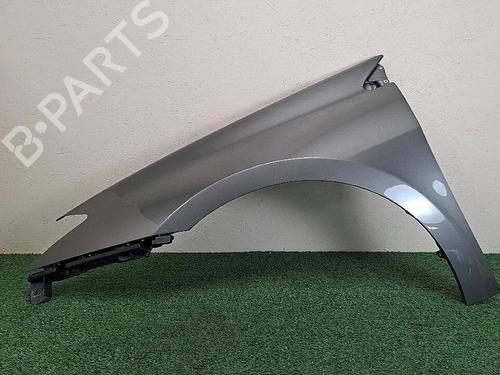 Left front fenders RENAULT LAGUNA III (BT0/1) 1.5 dCi (BT00, BT0A, BT0T, BT1J) | BP30063940C41