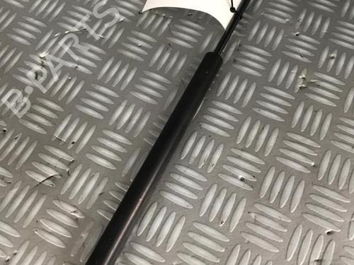 Used Tailgate lift support Tailgate lift support PEUGEOT 207 (WA_, WC_) 1.6 HDi (92 hp) 30074578 30074578