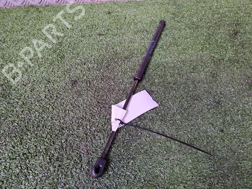 Used Tailgate lift support CITROËN C2 (JM_) 1.4 HDi (68 hp) 20152248