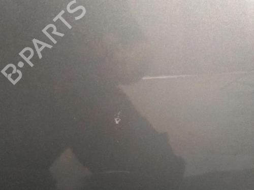 Right front door OPEL MERIVA A MPV (X03) 1.7 CDTI (E75) | BP30071432C3