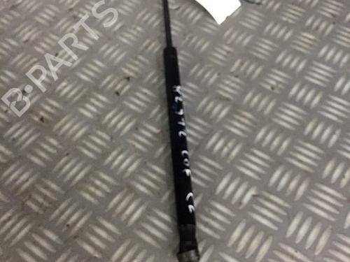 Used Tailgate lift support RENAULT MEGANE II Coupé-Cabriolet (EM0/1_) 1.9 dCi (120 hp) 30069225