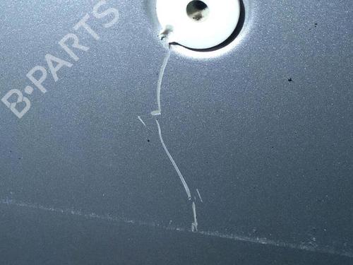 Tailgate MINI MINI (R50, R53) Cooper | BP29952986C6