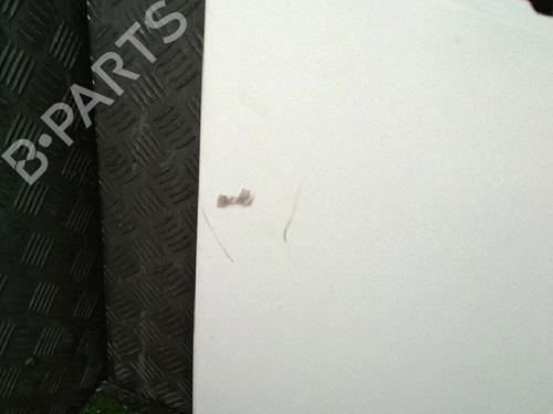 Used Right front door Right front door PEUGEOT PARTNER Box Body/MPV 1.6 HDi 16V (90 hp) 29947875 29947875