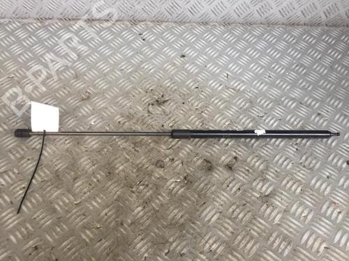 Hood lift support RENAULT MEGANE III Hatchback (BZ0/1_, B3_) 1.5 dCi (BZ1G, BZ1W, BZ0R) | BP30069512C139