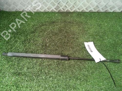 Tailgate lift support RENAULT SCÉNIC III (JZ0/1_) 1.9 dCi (JZ0J, JZ1J, JZ1K, JZ1S) | BP29951884C138