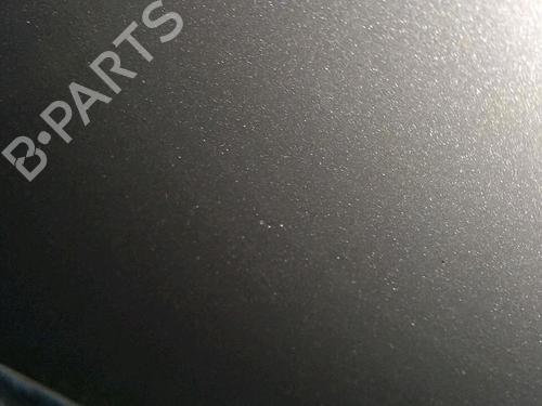 Left front door RENAULT GRAND SCÉNIC III (JZ0/1_) 1.5 dCi (JZ09, JZ0D, JZ10, JZ14, JZ1G, JZ29, JZ2C) | BP30063635C2