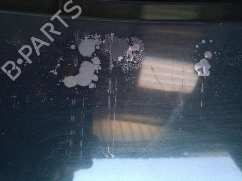 Used Tailgate RENAULT LAGUNA II (BG0/1_) [2001-2007]  30068210