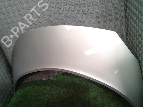 Used Hood RENAULT SCÉNIC II (JM0/1_) 1.9 dCi (JM14) (131 hp) 30077112