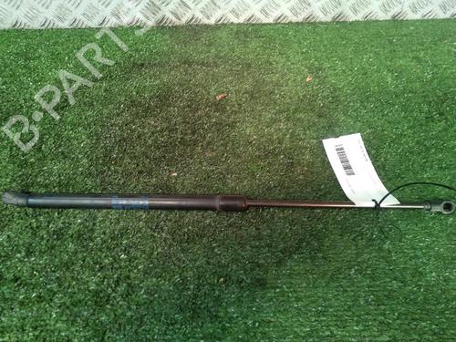 Used Tailgate lift support VW POLO (9N_, 9A_) 1.2 (60 hp) 17160800