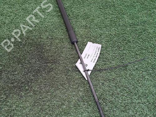 Gasdæmper bagklap FORD FIESTA VII (HJ, HF) 1.0 EcoBoost (95 hp) 29947112