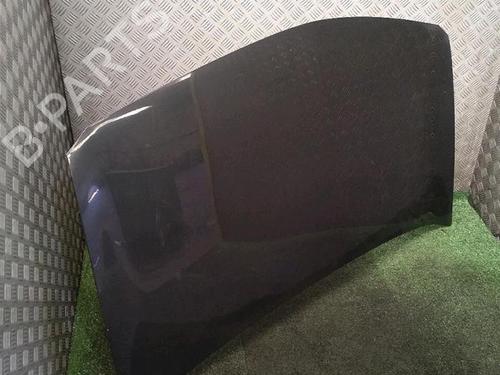 Hood RENAULT MEGANE II (BM0/1_, CM0/1_) 1.6 16V | BP30076510C1