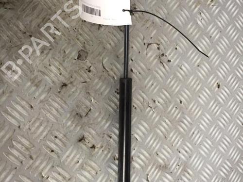 Used Tailgate lift support Tailgate lift support FIAT FREEMONT (345_) 2.0 JTD (170 hp) 30072499 30072499