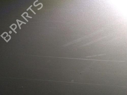 Right front door RENAULT MEGANE II Coupé-Cabriolet (EM0/1_) 1.9 dCi | BP17786173C3 