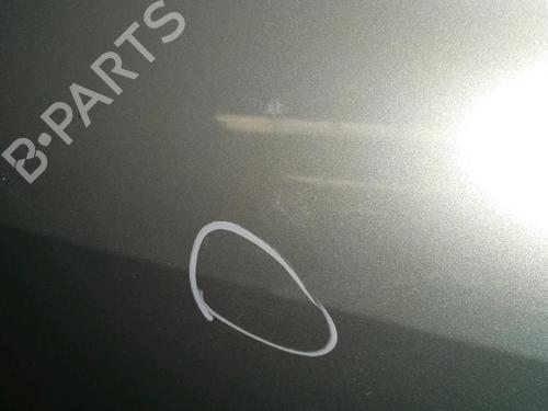Left rear door RENAULT CLIO III (BR0/1, CR0/1) 1.5 dCi (BR17, CR17) | BP21390463C4 