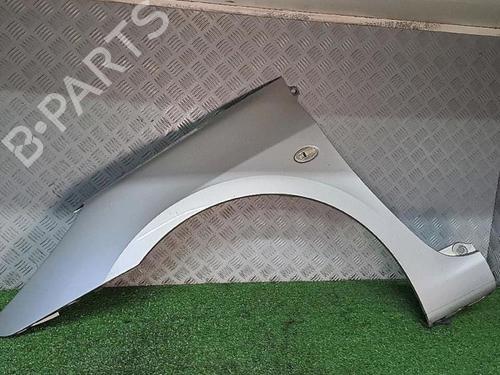 Left front fenders PEUGEOT 307 (3A/C) 1.6 HDi | BP29953013C41
