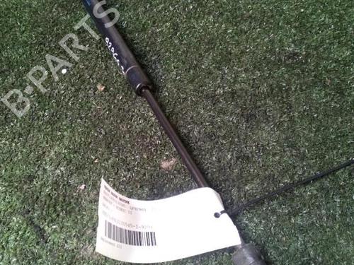 Tailgate lift support RENAULT SCÉNIC II (JM0/1_) 1.6 (JM0C, JM0J, JM1B) | BP30072427C138