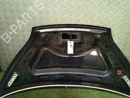 hood-bluecar-blueutility-2011-30065750 main image