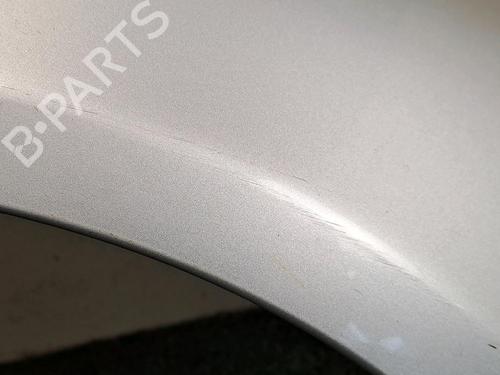 Used Right front fenders RENAULT CLIO III Hatchback Van (SB_, SR_) 1.5 dCi (86 hp) 30067892