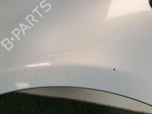 Used Left front fenders RENAULT CLIO II (BB_, CB_) 1.5 dCi (B/CB07) (65 hp) 29948531