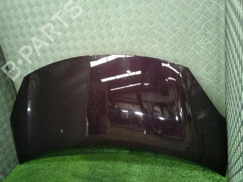 Used Hood Hood DS DS 3 (SA_) 1.2 THP 110 / PureTech 110 (SAHNPS, SAHNZ6, SAHNZT) (110 hp) 30065868 30065868