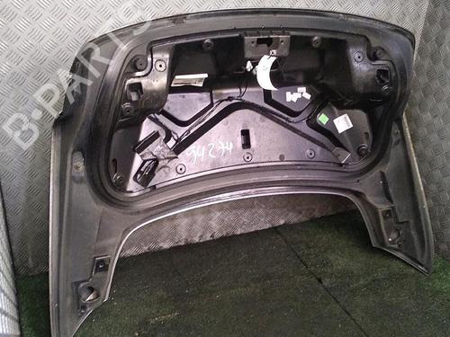 Tailgate RENAULT LAGUNA Coupe (DT0/1) 2.0 dCi GT (DT11, DT1E, DT1N) | BP30076093C6