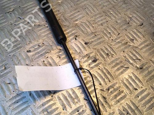 Used Tailgate lift support RENAULT ZOE (BFM_) ZOE (88 hp) 30072700