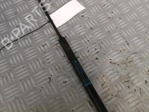 Tailgate lift support CITROËN C4 Coupe (LA_) 2.0 HDi | BP30072454C138