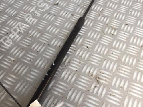 Tailgate lift support FORD FOCUS III 1.5 EcoBoost | BP30071238C138 