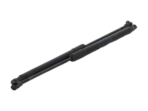 tailgate-lift-support-bmw-1-f21-2011-2012-2013-2014-2015-2016-2017-2018-2019-39487535 main image