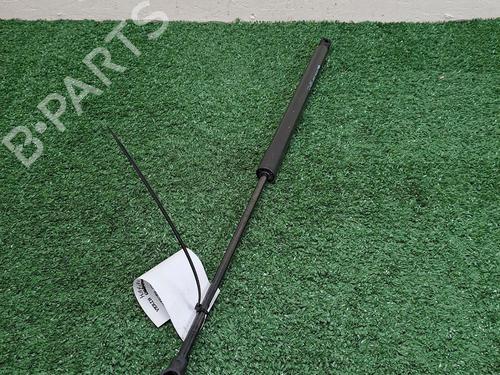 Tailgate lift support CITROËN C3 Picasso (SH_) 1.4 VTi 95 (SH8FSC, SH8FP0, SH8FP6) | BP30068300C138 