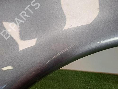 Left front fenders CITROËN XSARA PICASSO (N68) 1.6 HDi | BP25731298C41 