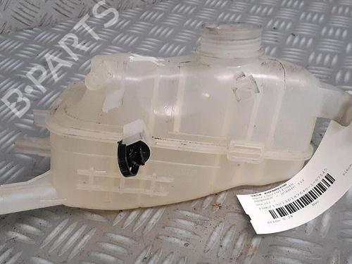 Used Expansion tank RENAULT SCÉNIC III (JZ0/1_) 1.6 dCi (JZ00, JZ12) (130 hp) 30065041