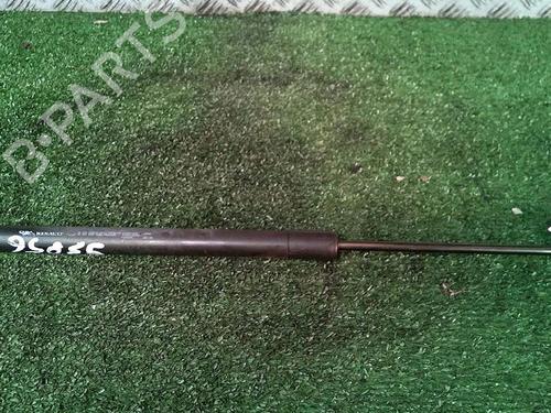 Tailgate lift support RENAULT SCÉNIC III (JZ0/1_) 1.5 dCi | BP30073795C138