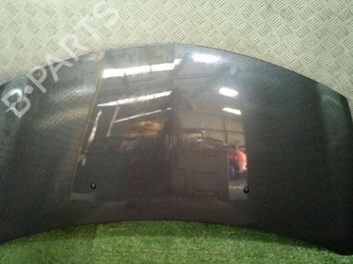 Used Hood RENAULT CLIO III (BR0/1, CR0/1) 1.5 dCi (C/BR0G, C/BR1G) (68 hp) 30065613