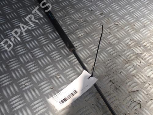 Tailgate lift support CITROËN C4 Picasso I MPV (UD_) 1.6 HDi | BP17162716C138 