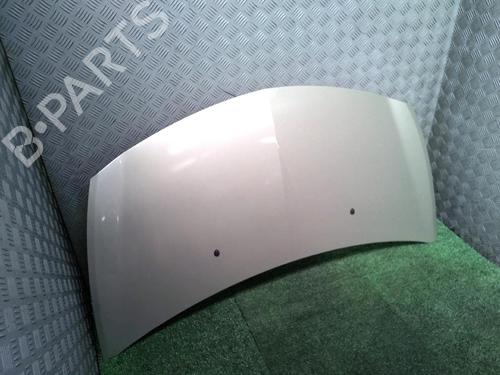 Used Hood RENAULT CLIO III (BR0/1, CR0/1) 1.5 dCi (BR17, CR17) (86 hp) 19125405